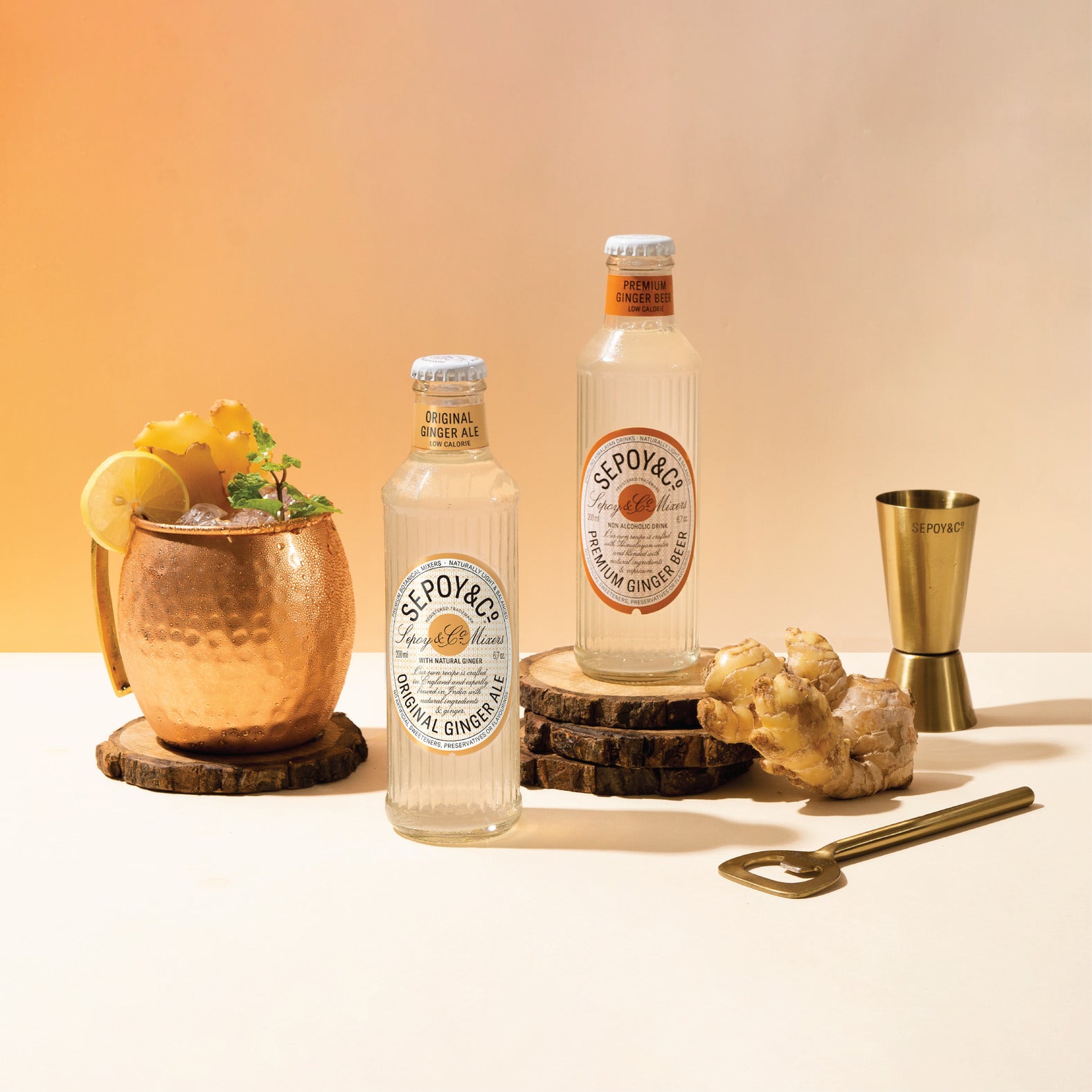 Ginger Mixer Tasting Pack (Pack of 12)