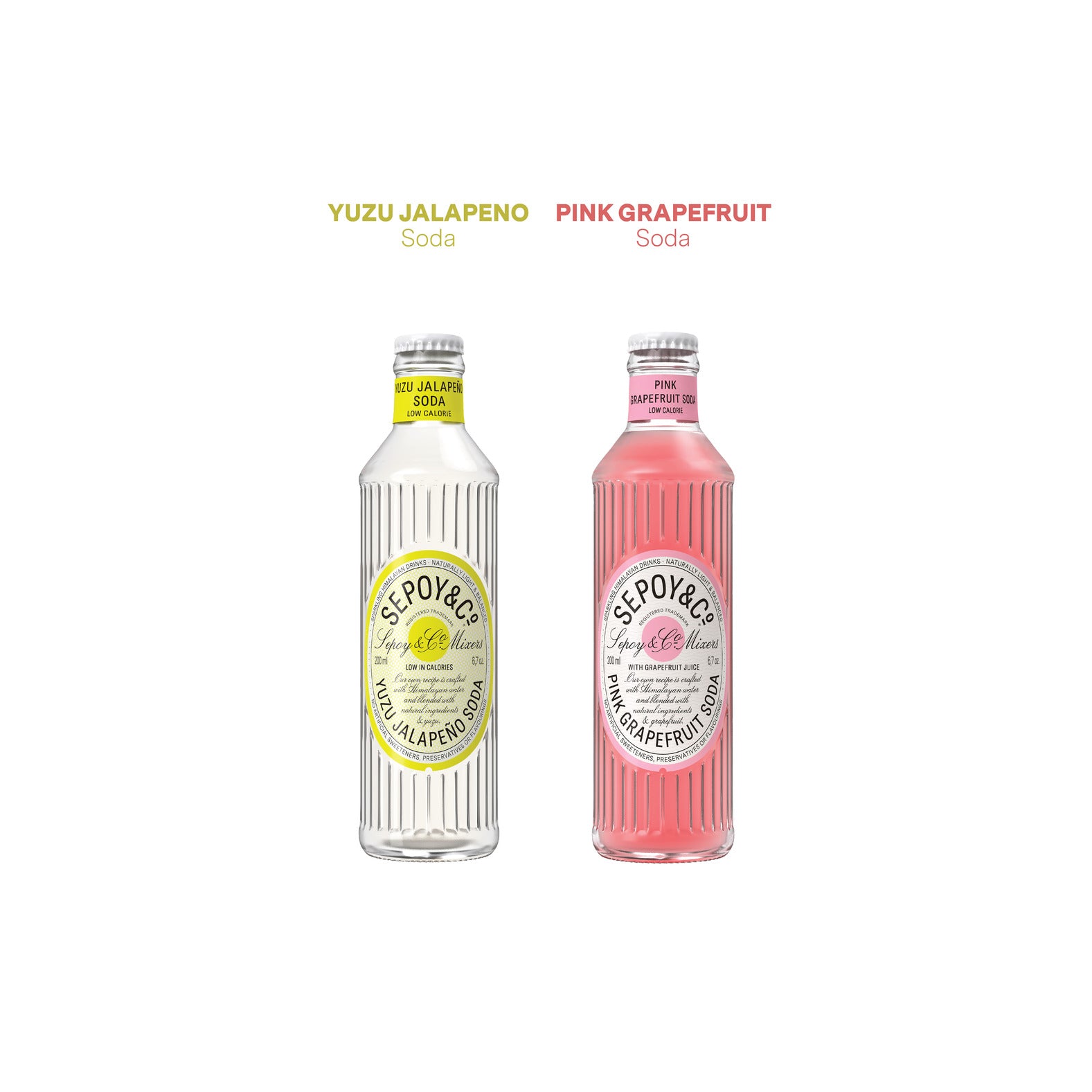 Tequila Explorer's Kit