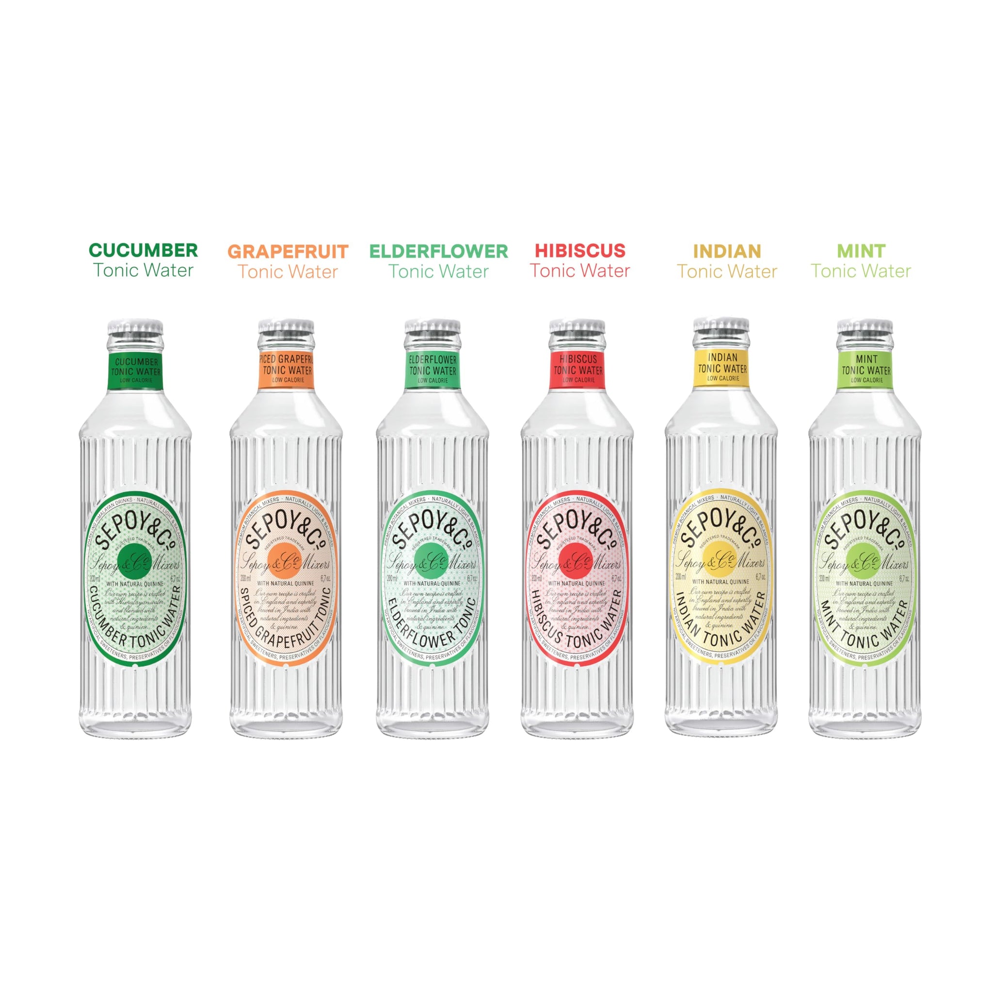 Tonic Water Tasting Box - Limited Edition (Pack of 12)