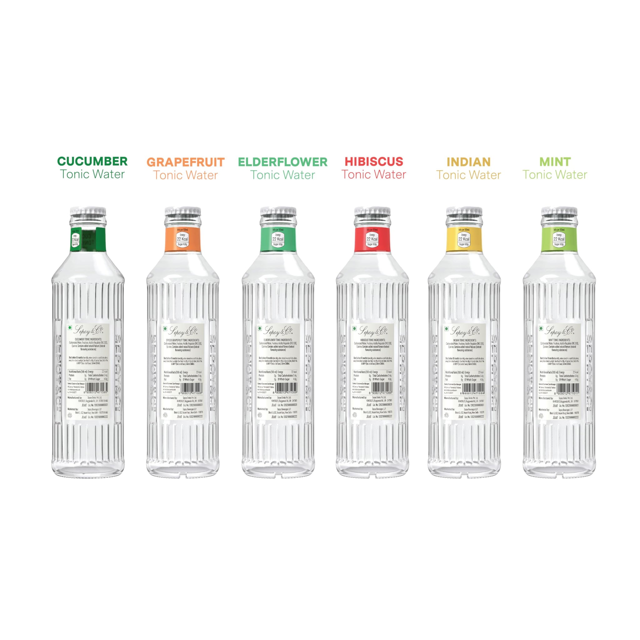 Tonic Water Tasting Box - Limited Edition (Pack of 12)